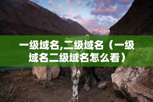 一级域名,二级域名（一级域名二级域名怎么看）