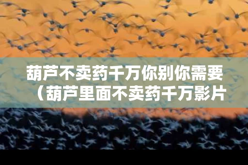 葫芦不卖药千万你别你需要（葫芦里面不卖药千万影片）