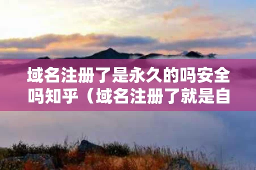 域名注册了是永久的吗安全吗知乎（域名注册了就是自己的吗）