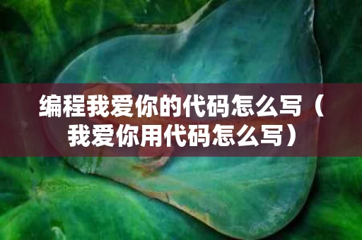 编程我爱你的代码怎么写（我爱你用代码怎么写）