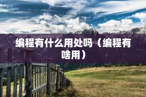 编程有什么用处吗（编程有啥用）
