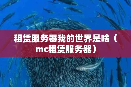 租赁服务器我的世界是啥（mc租赁服务器）