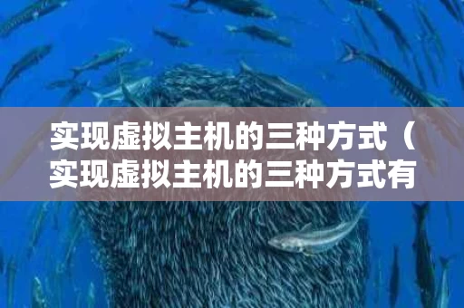 实现虚拟主机的三种方式（实现虚拟主机的三种方式有哪些）