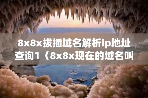 8x8x拔插域名解析ip地址查询1（8x8x现在的域名叫什么）