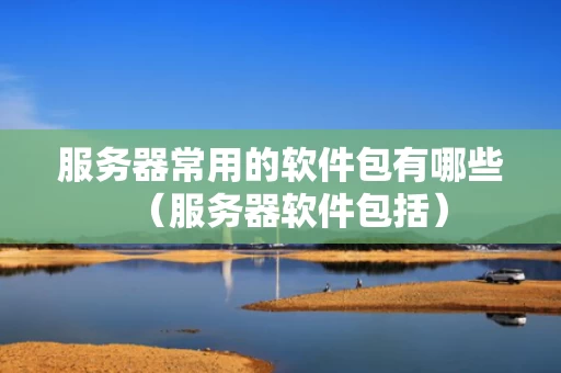 服务器常用的软件包有哪些（服务器软件包括）