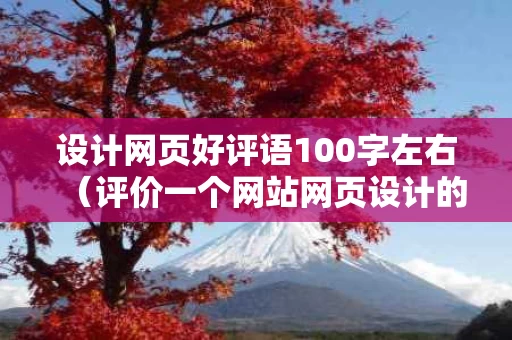 设计网页好评语100字左右（评价一个网站网页设计的好坏）
