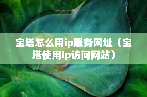 宝塔怎么用ip服务网址（宝塔使用ip访问网站）