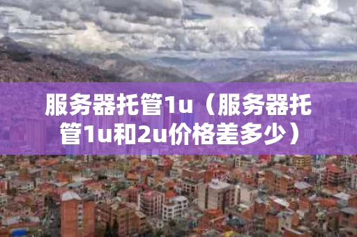 服务器托管1u（服务器托管1u和2u价格差多少）