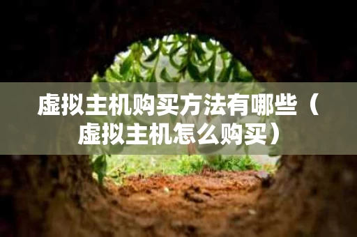 虚拟主机购买方法有哪些（虚拟主机怎么购买）