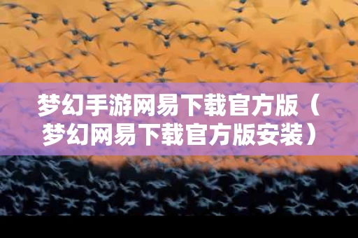 梦幻手游网易下载官方版（梦幻网易下载官方版安装）
