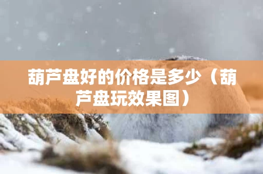 葫芦盘好的价格是多少（葫芦盘玩效果图）