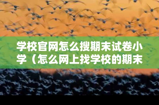 学校官网怎么搜期末试卷小学（怎么网上找学校的期末卷）