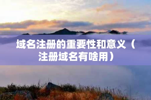 域名注册的重要性和意义（注册域名有啥用）