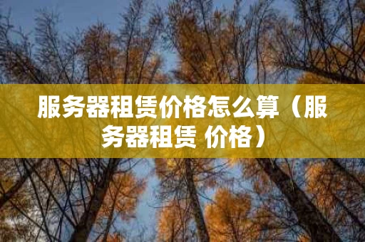服务器租赁价格怎么算（服务器租赁 价格）