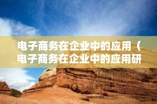 电子商务在企业中的应用（电子商务在企业中的应用研究）