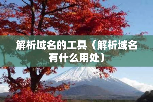 解析域名的工具（解析域名有什么用处）