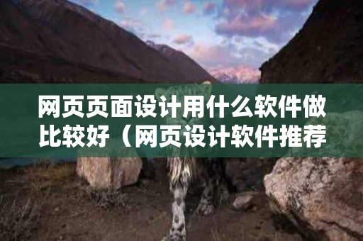 网页页面设计用什么软件做比较好（网页设计软件推荐）