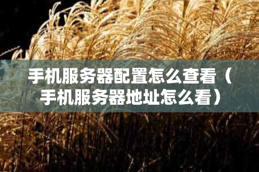 手机服务器配置怎么查看（手机服务器地址怎么看）