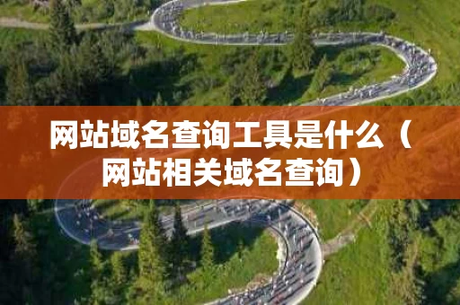 网站域名查询工具是什么（网站相关域名查询）