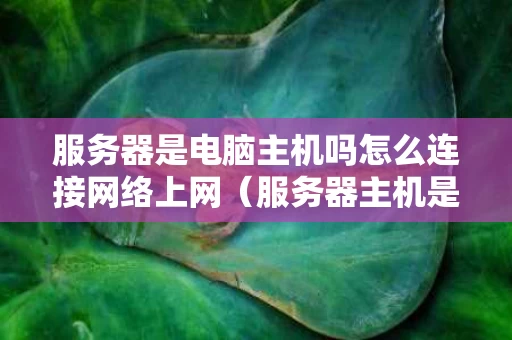 服务器是电脑主机吗怎么连接网络上网（服务器主机是什么意思）