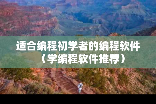适合编程初学者的编程软件（学编程软件推荐）