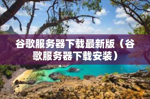谷歌服务器下载最新版（谷歌服务器下载安装）