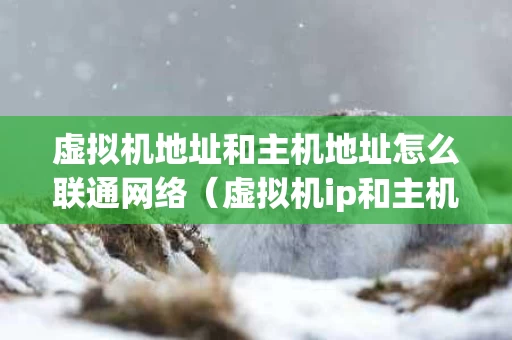 虚拟机地址和主机地址怎么联通网络（虚拟机ip和主机ip关系）
