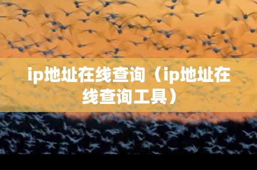 ip地址在线查询（ip地址在线查询工具）