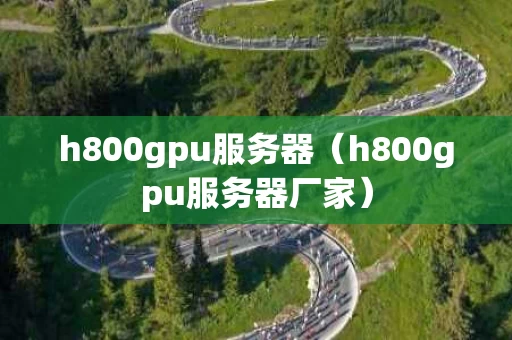 h800gpu服务器（h800gpu服务器厂家）