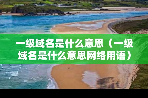 一级域名是什么意思（一级域名是什么意思网络用语）