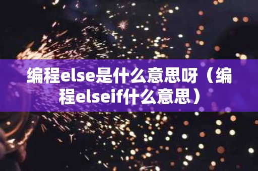 编程else是什么意思呀（编程elseif什么意思）