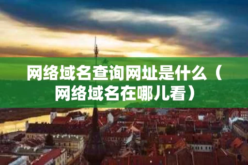 网络域名查询网址是什么（网络域名在哪儿看）