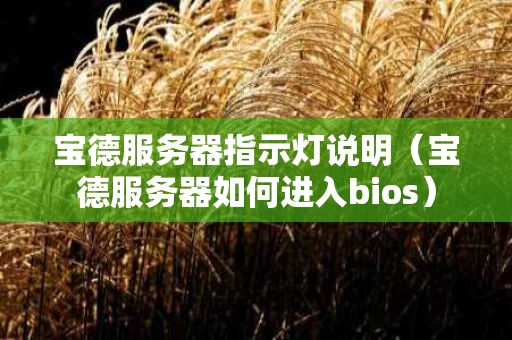 宝德服务器指示灯说明（宝德服务器如何进入bios）