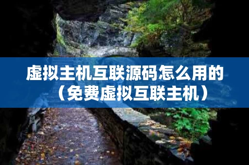 虚拟主机互联源码怎么用的（免费虚拟互联主机）