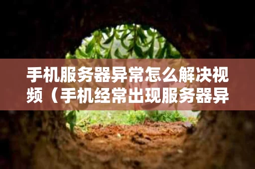 手机服务器异常怎么解决视频（手机经常出现服务器异常）
