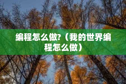 编程怎么做?（我的世界编程怎么做）