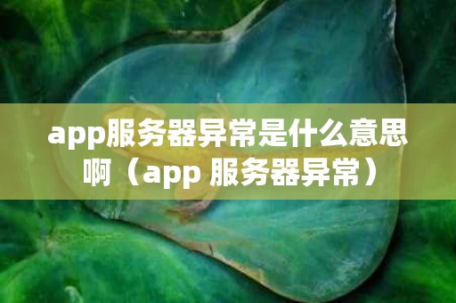 app服务器异常是什么意思啊（app 服务器异常）