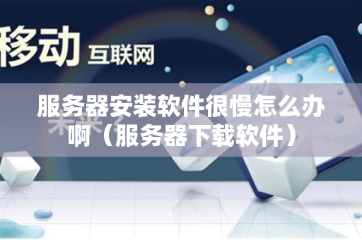 服务器安装软件很慢怎么办啊（服务器下载软件）