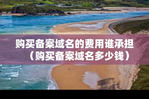 购买备案域名的费用谁承担（购买备案域名多少钱）