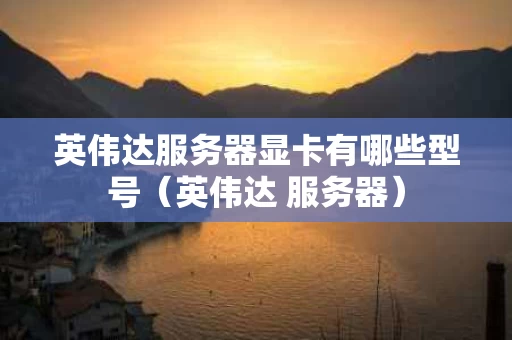 英伟达服务器显卡有哪些型号（英伟达 服务器）