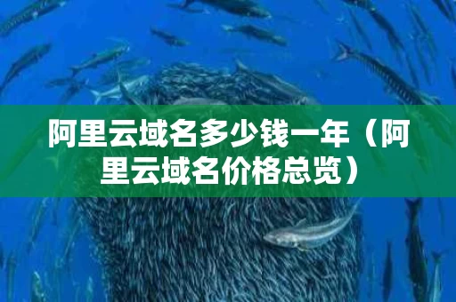 阿里云域名多少钱一年（阿里云域名价格总览）