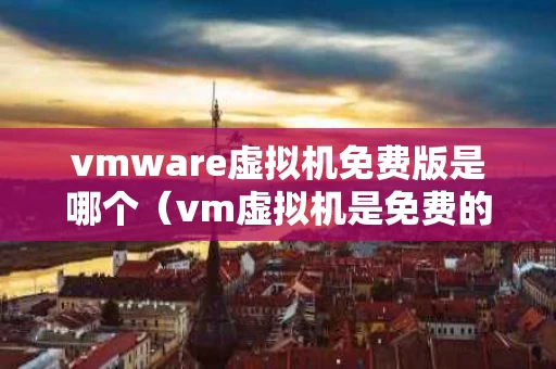 vmware虚拟机免费版是哪个（vm虚拟机是免费的吗）