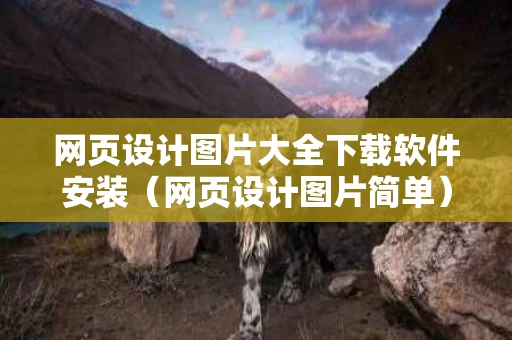 网页设计图片大全下载软件安装（网页设计图片简单）