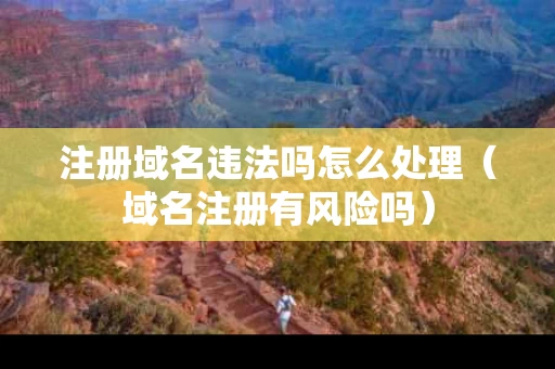 注册域名违法吗怎么处理（域名注册有风险吗）