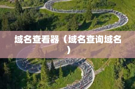 域名查看器（域名查询域名）