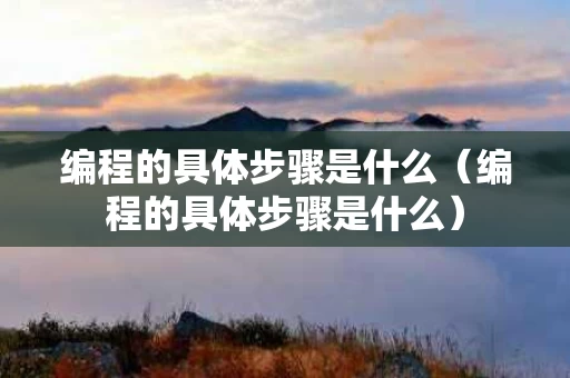 编程的具体步骤是什么（编程的具体步骤是什么）