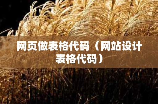 网页做表格代码（网站设计表格代码）