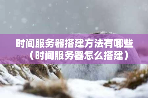 时间服务器搭建方法有哪些（时间服务器怎么搭建）