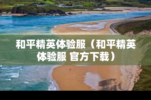 和平精英体验服（和平精英体验服 官方下载）