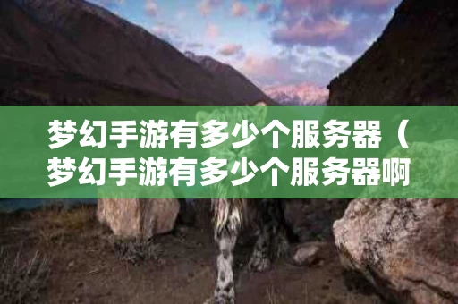 梦幻手游有多少个服务器（梦幻手游有多少个服务器啊）